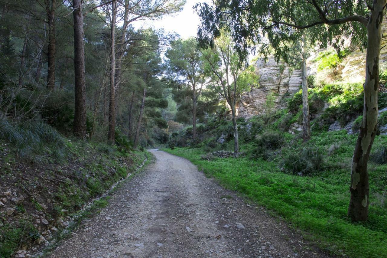 La Dimora Di Segesta B&B Calatafimi Kültér fotó